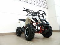 Quad 49ccm Pocketquad Miniquad Quad Kinderquad Nordrhein-Westfalen - Greven Vorschau