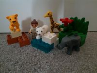 Lego Duplo 4962 Tierbabys Zoo Niedersachsen - Estorf Vorschau