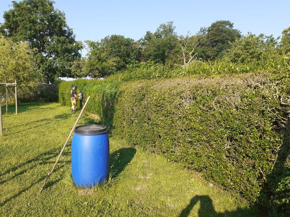 Garten -und Objektpflege, Grundstückspflege, Heckenschnitt in Colditz