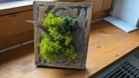 Mini Moosbild aus Islandmoos im Holzrahmen Deko Pflanzen Baden-Württemberg - Filderstadt Vorschau