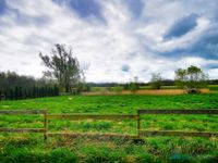 Dr. Lehner Immobilien NB- Schönes Baugrundstück mit unverbautem Landschaftsblick Mecklenburg-Vorpommern - Loitz (Bei Demmin) Vorschau