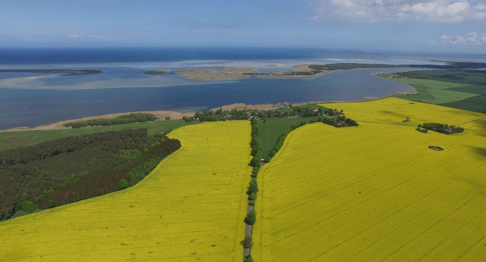 +++PREISSENKUNG+++ Verkauf einer neu errichteten Doppelhaushälfte mit Bodden und Ostseeblick inmitten unberührter Natur in Groß Mohrdorf