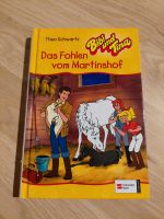 Buch Bibi & Tina - Das Fohlen vom Martinshof Niedersachsen - Fredenbeck Vorschau