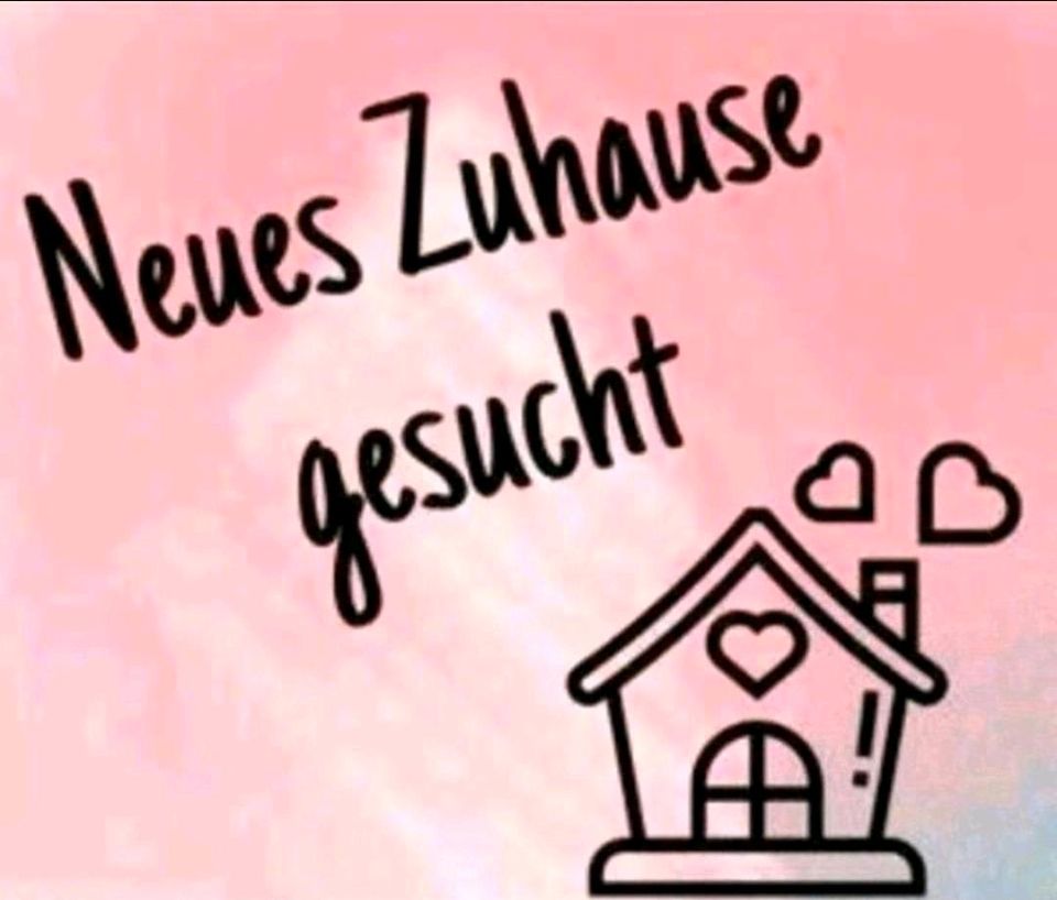 Haus oder Wohnung gesucht in Kruckow