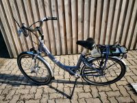 E Bike Cityrad WattWorld E-Glide 7 Gang Frontmotor Bayern - Marktredwitz Vorschau