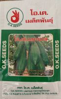 Papaya Samen มะละกอ SomTam green Papaya ส้มตำไทย Brandenburg - Frankfurt (Oder) Vorschau