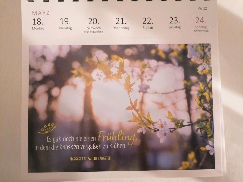 Tischkalender 2024 *NEU mit 53 wunderschönen Postkarten in Dresden