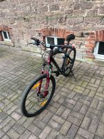 Felt Q520 Mountainbike Nordrhein-Westfalen - Lemgo Vorschau