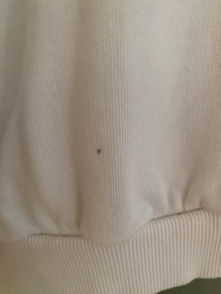 Damen Sweatshirt v. Pull & Bear Gr. S / 36 Trashin bunte Streifen in Köln