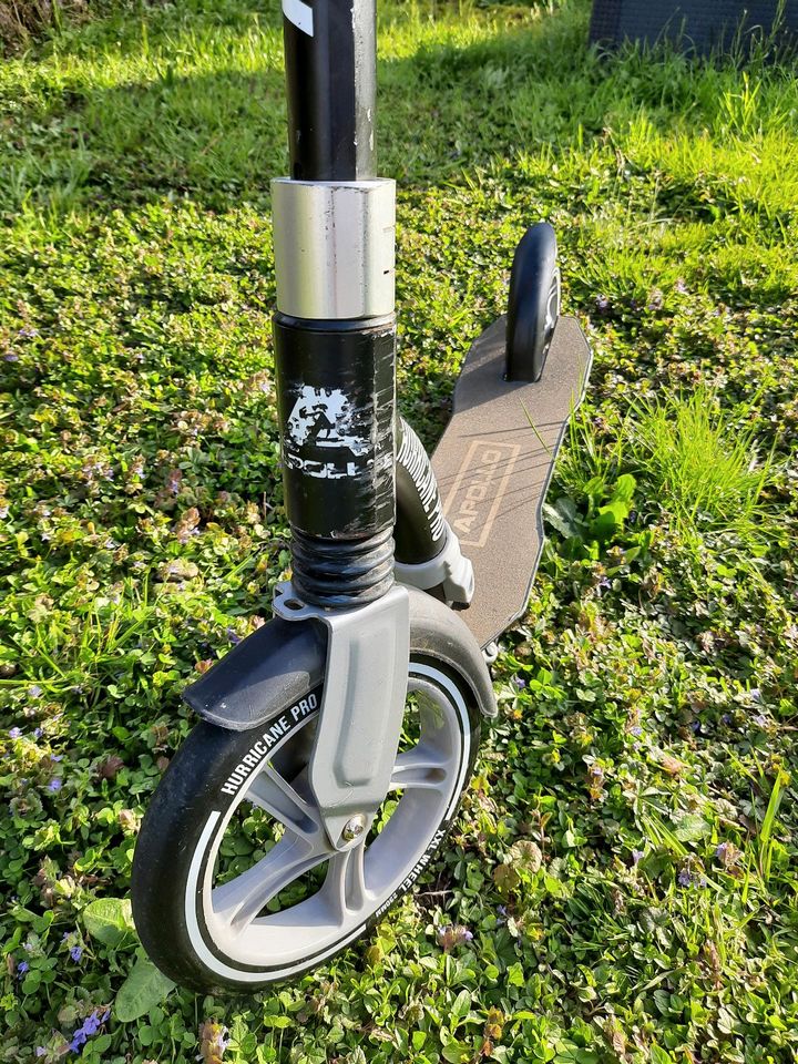 Apollo Scooter Hurricane Pro in Reute im Breisgau