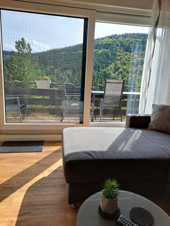 TOP Ferienwohnung in schöner Lage b.Winterberg/Sauerland,Urlaub in Winterberg