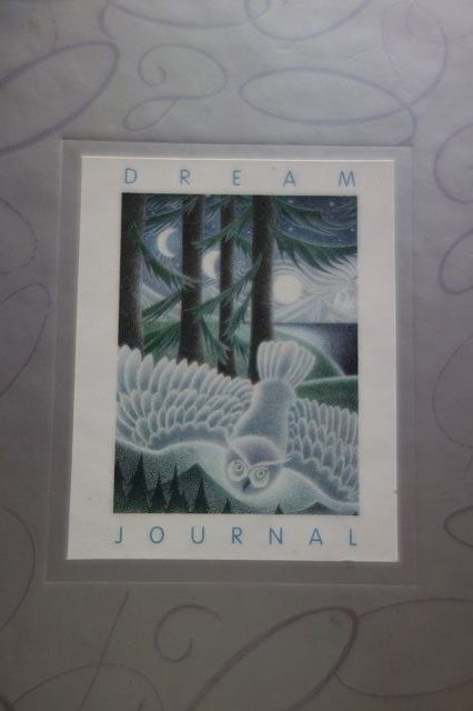 Dream Journal Traum Tagebuch Schwarz Silber Stift in Egelsbach