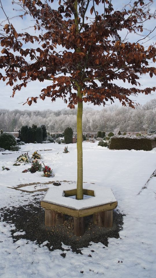 Baumbank. Gartenbank. Holzbank. in Steyerberg