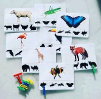 ❌️Neu! Silhouette Tier Spiel Schatten, Montessori, Animals, neu Rheinland-Pfalz - Neustadt an der Weinstraße Vorschau