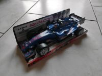 Light& Sound Racing/ 1:18 Formel 1 Wagen/ Sportwagen/ Spielzeug Hessen - Oestrich-Winkel Vorschau