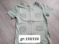 Jungen Tshirt h&m 110/116 Niedersachsen - Obernkirchen Vorschau