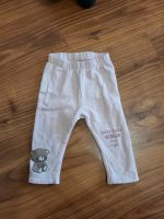 Baby Leggins gr. 74 Bochum - Bochum-Ost Vorschau