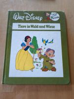 Walt Disney Tiere im Wald und Wiese Bayern - Stadtlauringen Vorschau