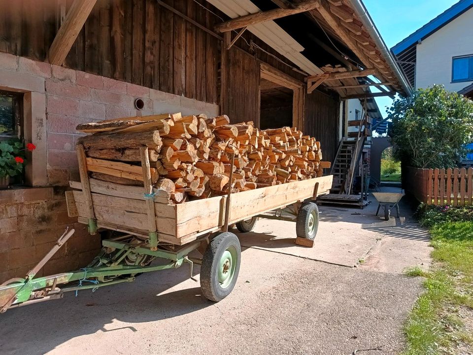 Brennholz (Fichte/Kiefer/Tanne) trocken 1m Scheite 75 pro Ster in Limbach