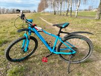 Rad MTB Mountainbike Bike Cube (Rahmen: 40,6cm) Unisex + ABUS Pankow - Französisch Buchholz Vorschau