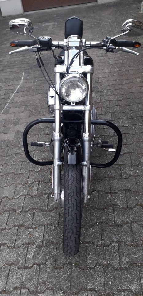 Harley Davidson Sportster 1200C in Uhldingen-Mühlhofen