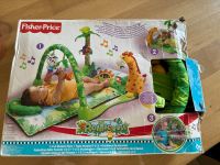 Fisher Price Rainforest 1-2-3 Spielcenter Musical Gym Bonn - Beuel Vorschau