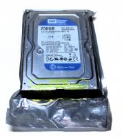 Western Digital Festplatte | WD Caviar Blue | 250GB | WD2500AAJB Schleswig-Holstein - Krempdorf Vorschau