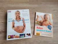 Meine Schwangerschaft /babys spielerisch fördern Niedersachsen - Sassenburg Vorschau