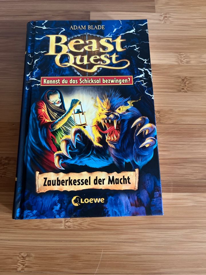 Beast Quest Buch in Helpsen