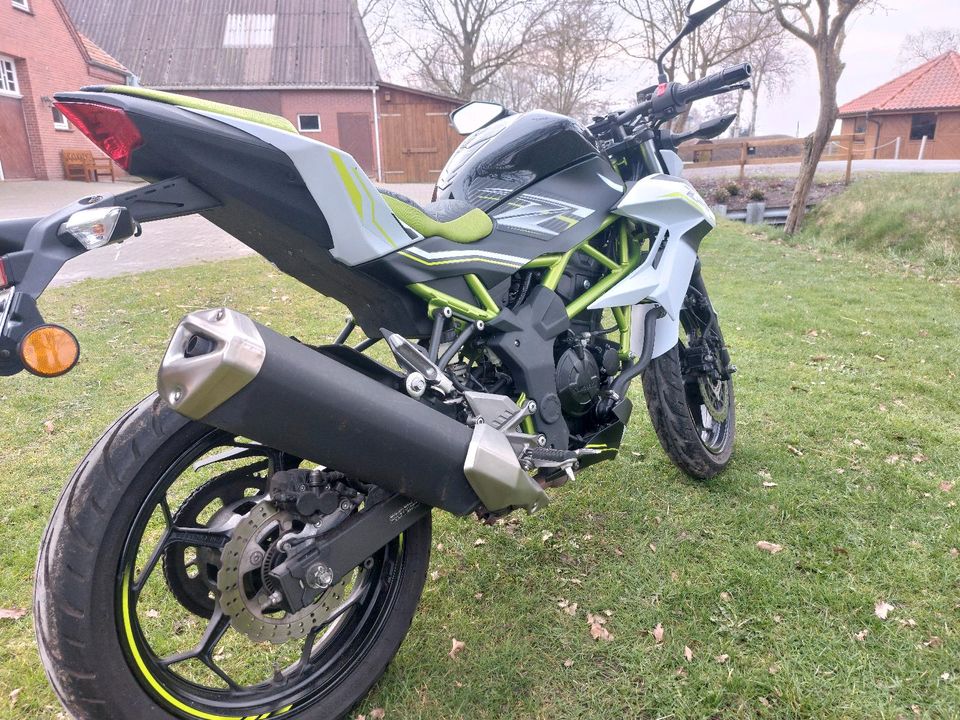 Kawasaki Z125 in Berne