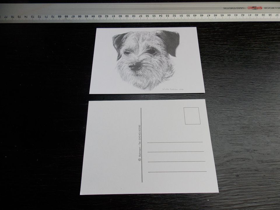 Border Terrier, Postkarte in Preetz