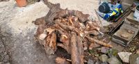 Holz zu verschenken Niedersachsen - Hildesheim Vorschau