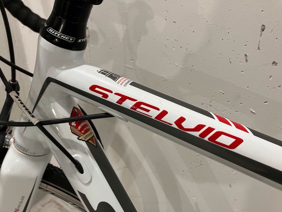 Stevens Stelvio 54 Rennrad in München