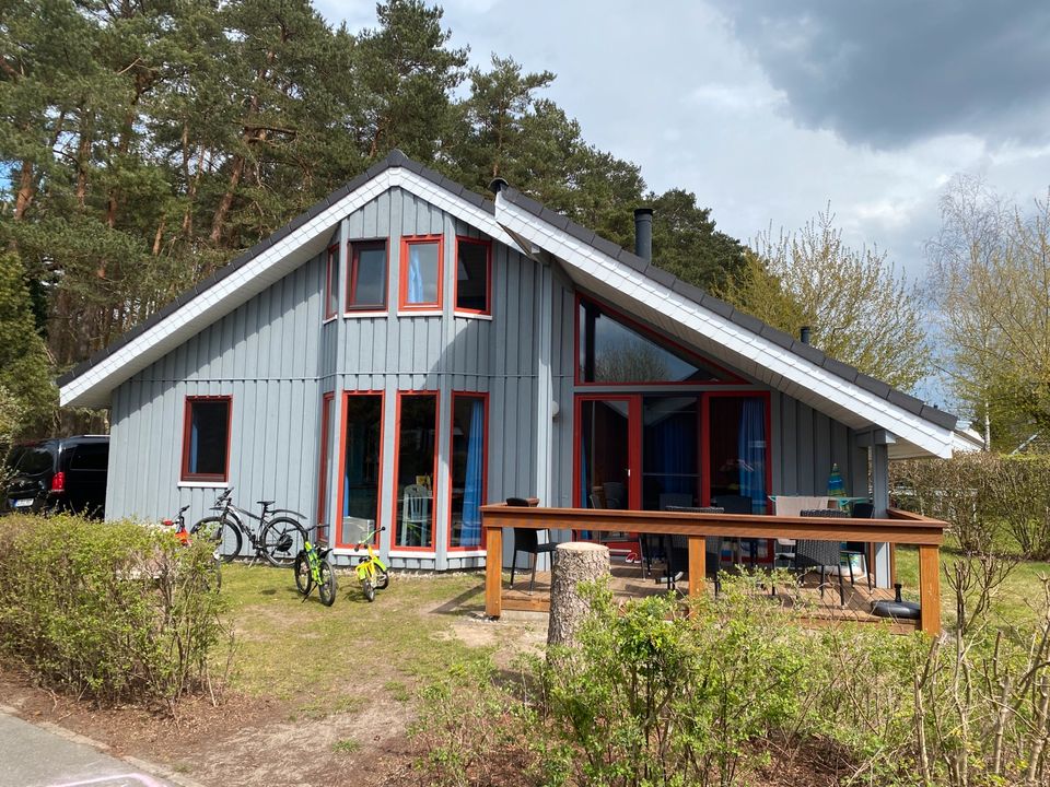 Ferienhaus am See Mecklenburg Seenplatte Sauna Kamin Mirow Hund in Mirow