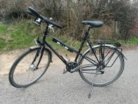 Koga Miyata Randonneur Lady Damen Fahrrad 28 Zoll - Rahmen 57cm Nordrhein-Westfalen - Wassenberg Vorschau