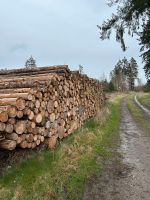 Wir kaufen Stammholz/ Rundholz/ Industrieholz jeglicher Qualität Nordrhein-Westfalen - Dorsten Vorschau