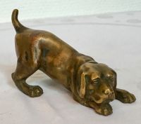 Schöner Hund Labrador Beagle massives Messing Bronze Nordrhein-Westfalen - Lotte Vorschau