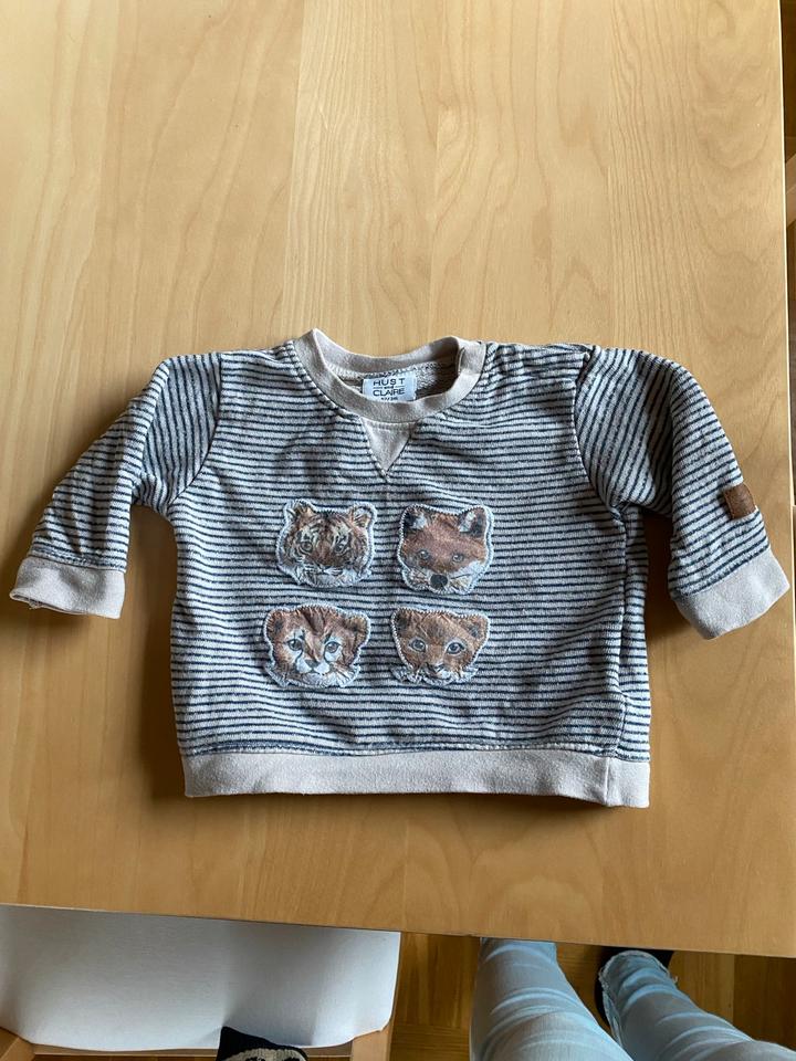 Hust & Claire 62 Pullover Pulli Sweater Freds World Frugi Steiff in Bendorf