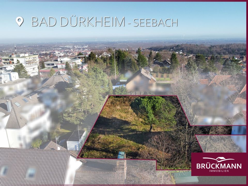 BD-Seebach: Seltenes Baugrundstück in exklusiver Lage mit Blick zur Limburg! in Bad Dürkheim