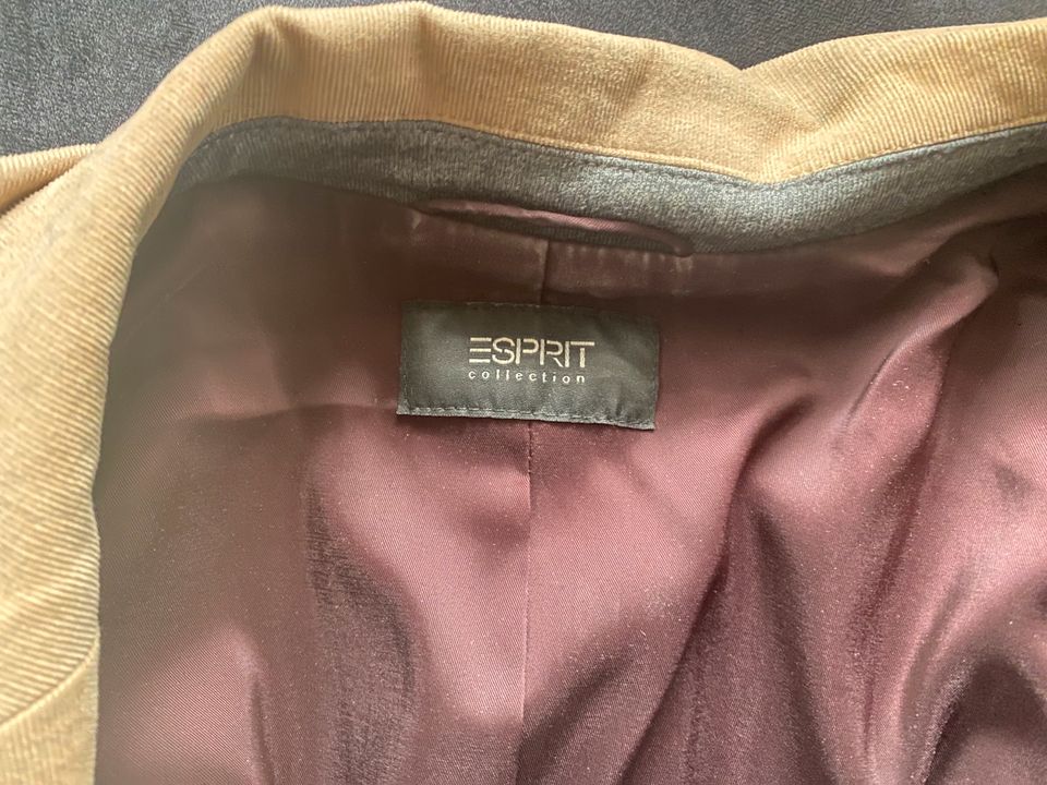 Feincord Blazer Esprit Gr. 40 / M-L in Neustadt an der Aisch