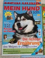Mein Hund & Ich - Hundezeitschriften Baden-Württemberg - Herrischried Vorschau