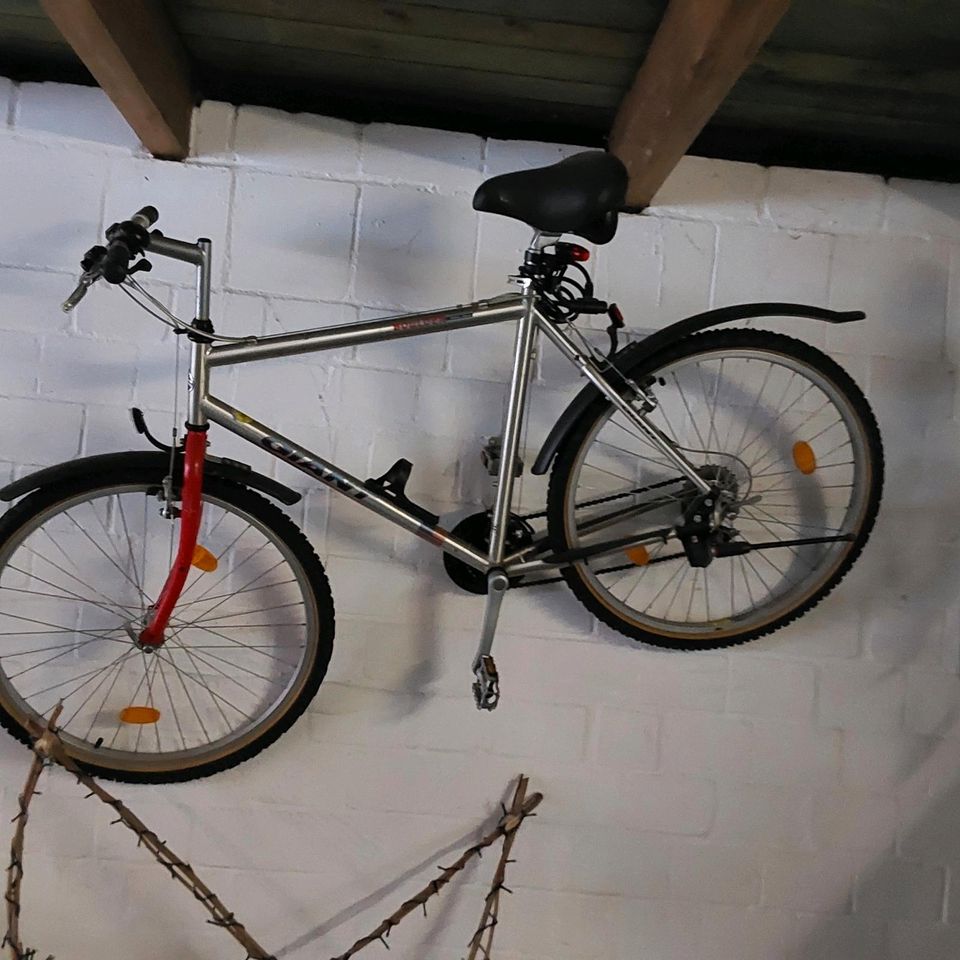 Alu-Fahrrad Giant zum aufbereiten in Eicklingen