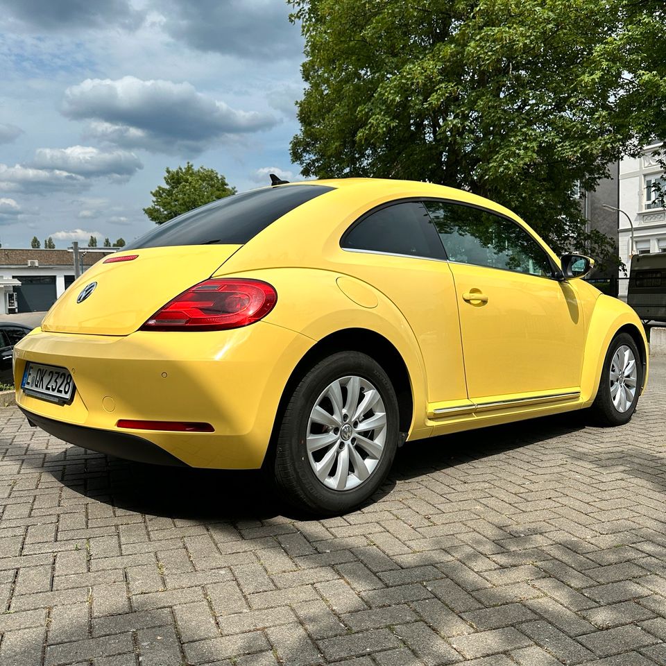 Volkswagen Beetle 1.6 TDI DSG TÜV 2026 in Essen