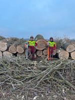 Baumfällung vom Profi Hessen - Mainhausen Vorschau