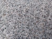 Granit Formatplatte poliert - 30/60/1,5 - 24,99€ brutto / m² Bayern - Abensberg Vorschau