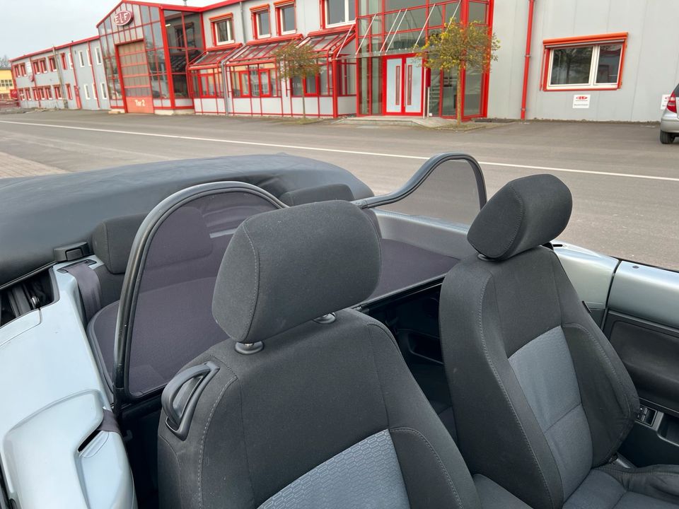 VW Beetle Cabrio  1.9 TDI DIESEL grüne Plakette Klima Sitzheizung in Holzminden
