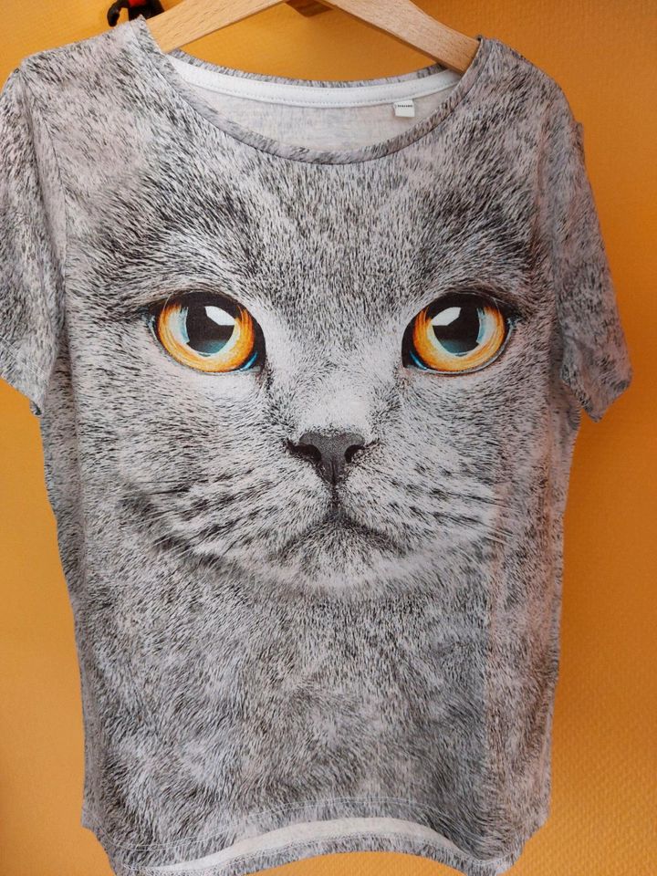 Kleines 4xTshirt Paket Next H&m Katze Amazing in Mörfelden-Walldorf