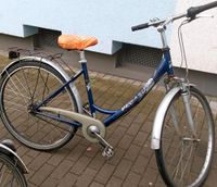 Pegasus Damenrad 7 Gang fahrbereit Frankfurt am Main - Bockenheim Vorschau