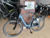 Gazelle/Bosch Active Line Plus/500Wh/RH53/Bender's E-Bike Pedelec Niedersachsen - Rinteln Vorschau