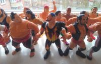 WWF 17x Hasbro Figuren KONVOLUT 1990er Hamburg-Mitte - Hamburg Hamm Vorschau